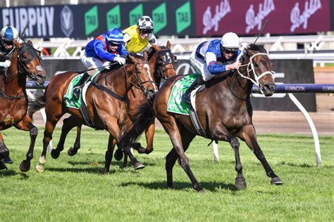 TAB Champions Stakes 2023 Tips, Odds, Field & Barrier Draw.